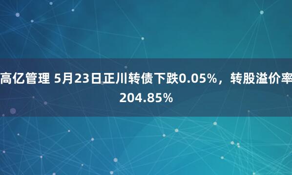 高亿管理 5月23日正川转债下跌0.05%，转股溢价率204.85%