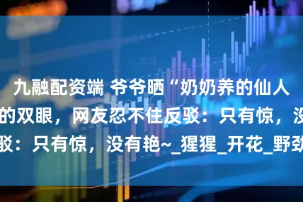 九融配资端 爷爷晒“奶奶养的仙人球”：惊艳了我的双眼，网友忍不住反驳：只有惊，没有艳~_猩猩_开花_野劲儿