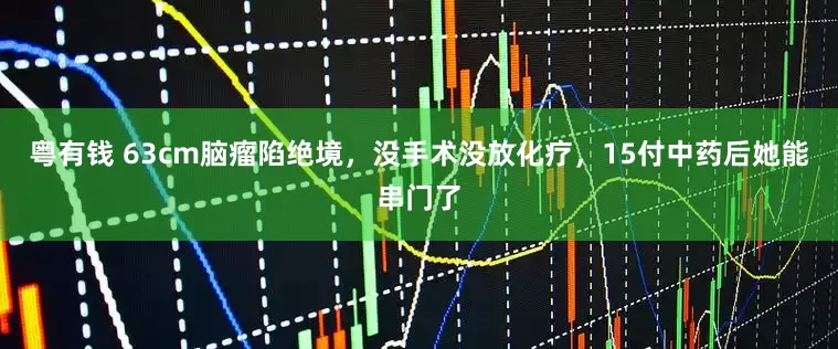 粤有钱 63cm脑瘤陷绝境，没手术没放化疗，15付中药后她能串门了