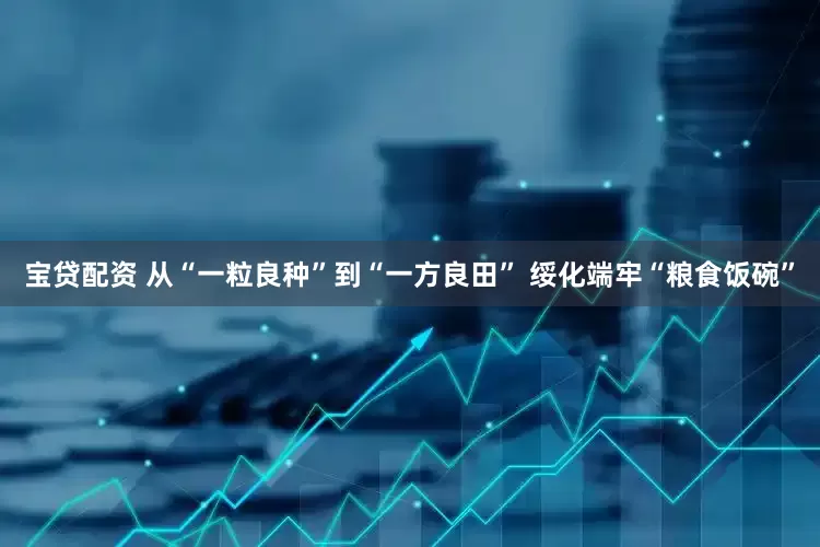 宝贷配资 从“一粒良种”到“一方良田” 绥化端牢“粮食饭碗”
